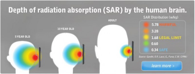 Depth of radiation absorption (SAR) by the human brain